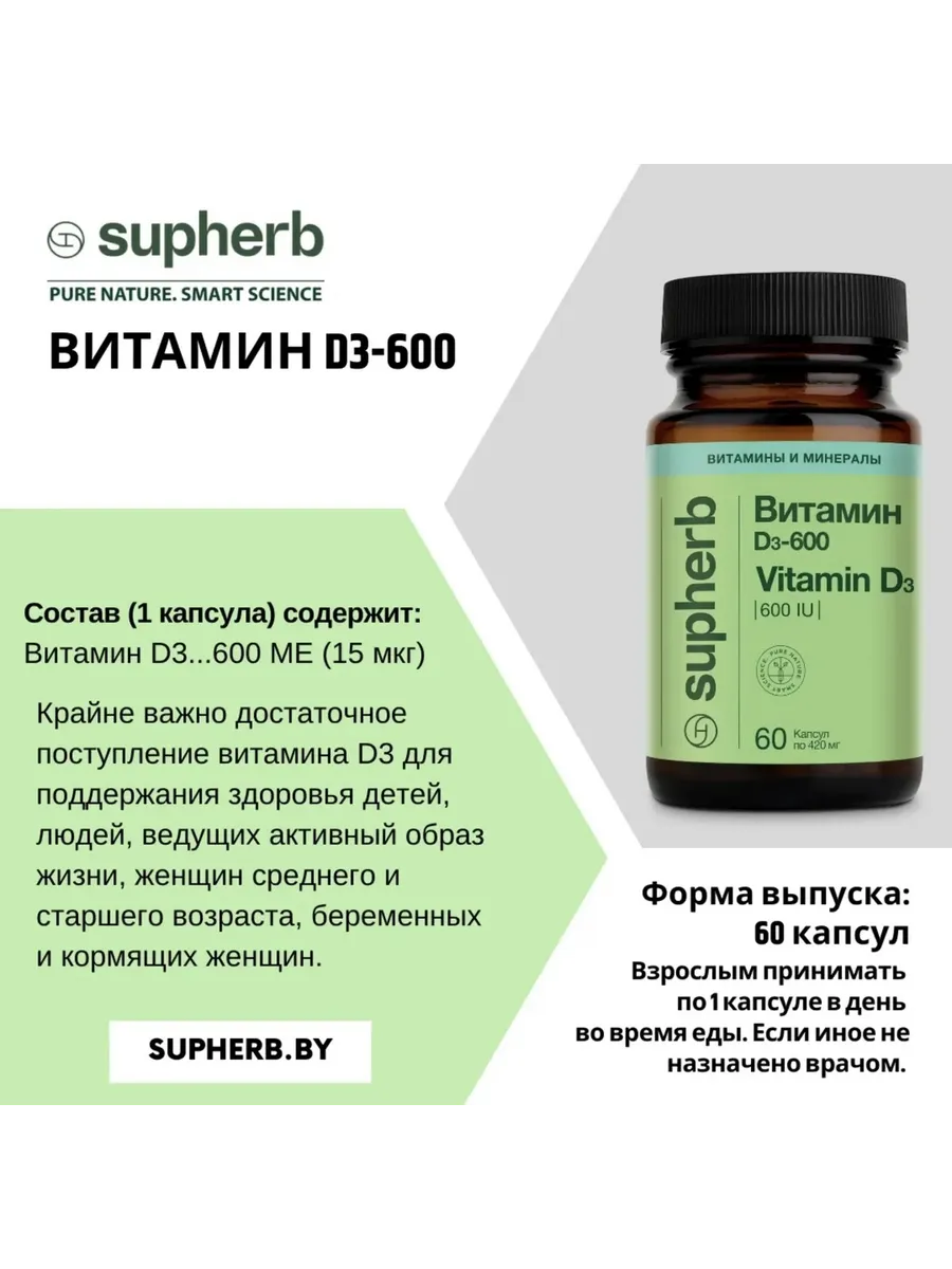 Фронт